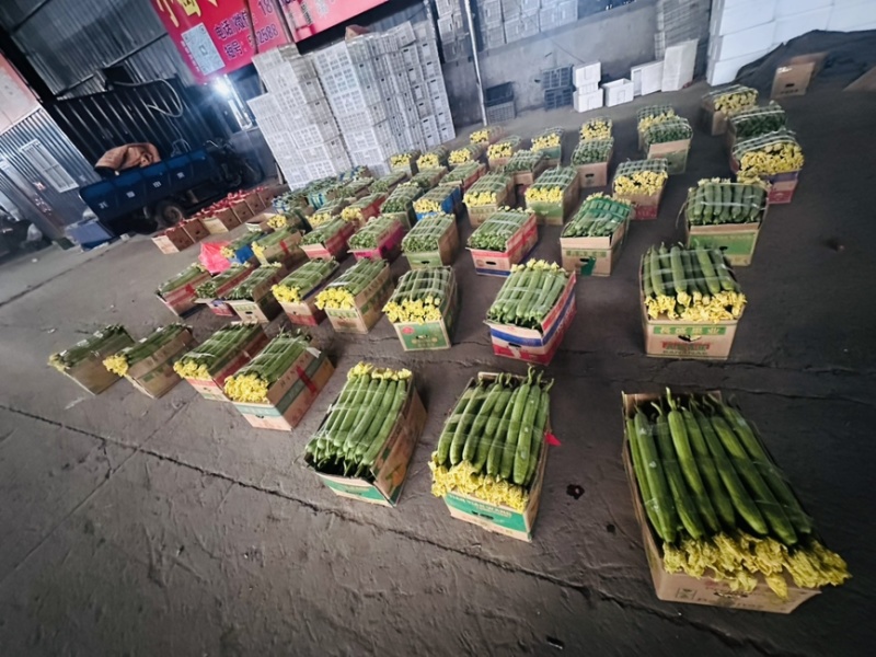鲜花丝瓜