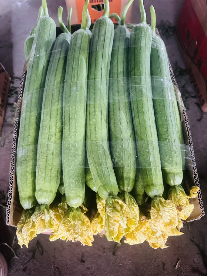 鲜花丝瓜