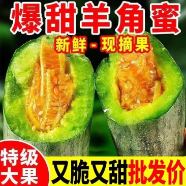 【产地直发】头茬羊角蜜甜瓜/山东薄皮蜜瓜对接电商一件代发