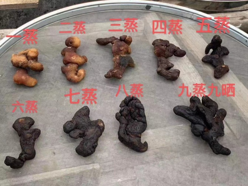 黄精，多花干黄精，多花姜型黄精，中大个子，九蒸九晒
