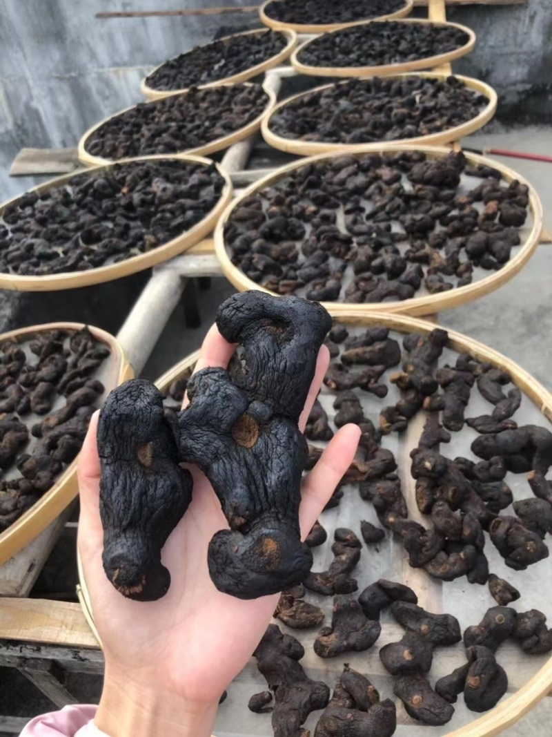 黄精，多花干黄精，多花姜型黄精，中大个子，九蒸九晒