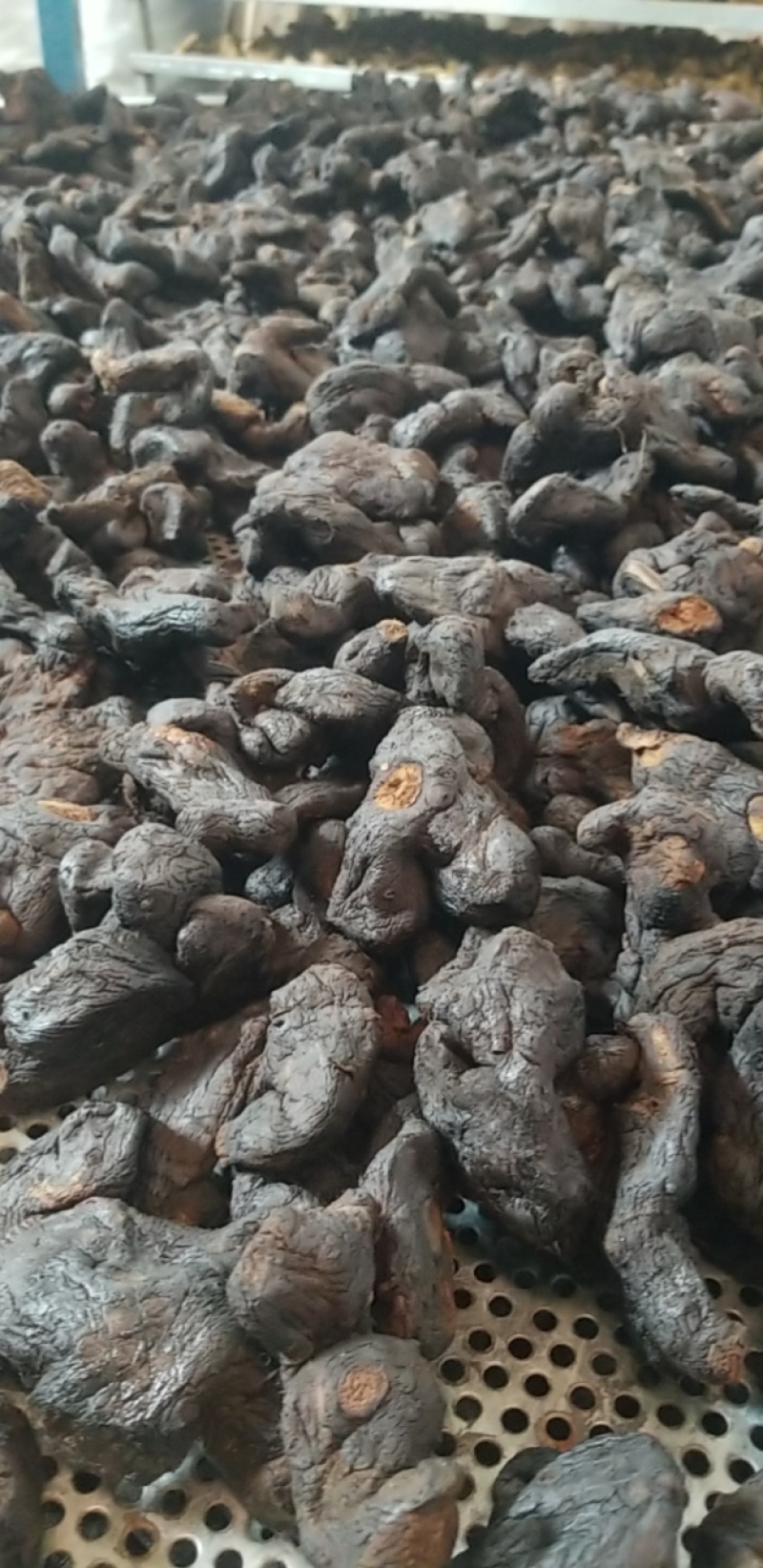 黄精，多花干黄精，多花姜型黄精，中大个子，九蒸九晒