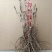 牡丹墨润绝伦，品种规格齐全，成花率高，一件代发