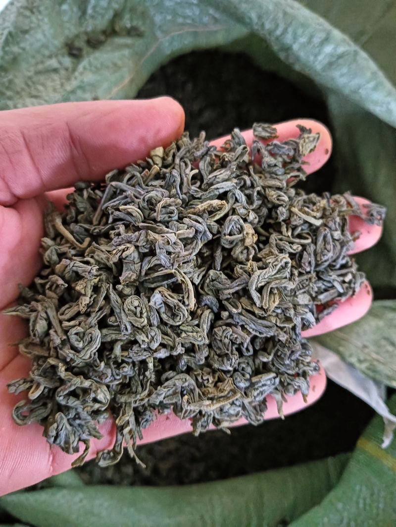 云南绿茶