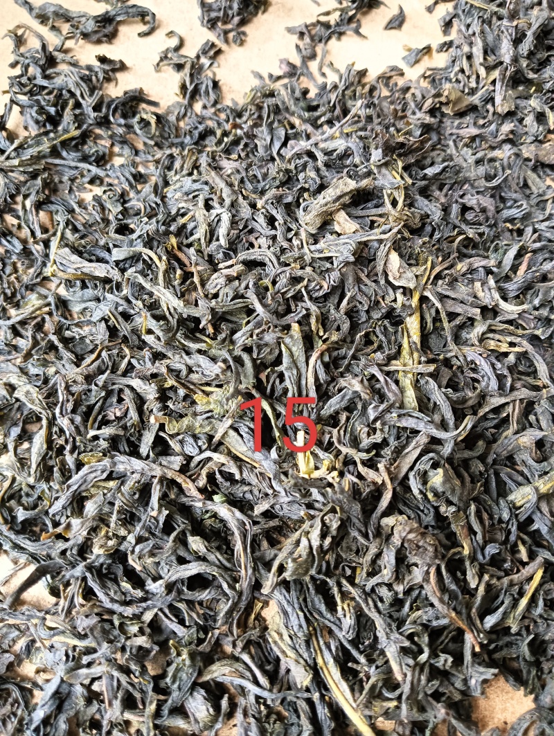 云南绿茶