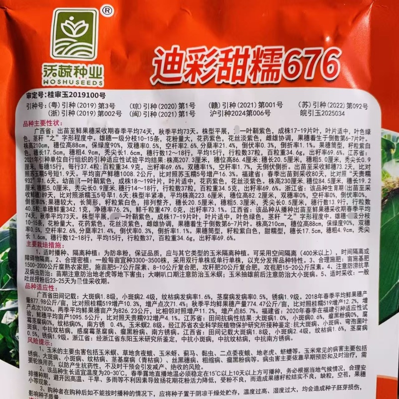 沃蔬迪彩甜糯676玉米种子鲜食南方早熟高产大棒甜糯玉米种