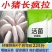 猪催肥饲料，快速长肉王拉大骨架毛色发红发亮日长三斤白金肽