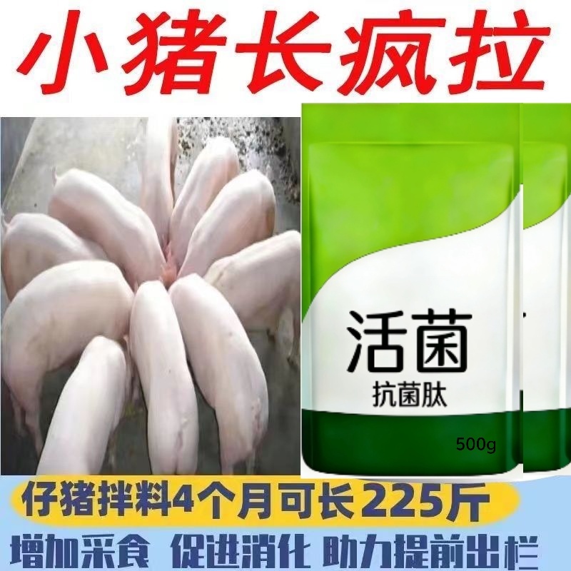 猪催肥饲料，快速长肉王拉大骨架毛色发红发亮日长三斤白金肽