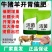 猪催肥饲料，快速长肉王拉大骨架毛色发红发亮日长三斤白金肽