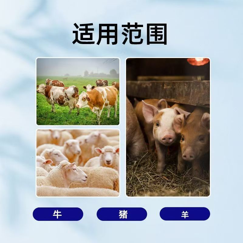 猪催肥饲料，快速长肉王拉大骨架毛色发红发亮日长三斤白金肽