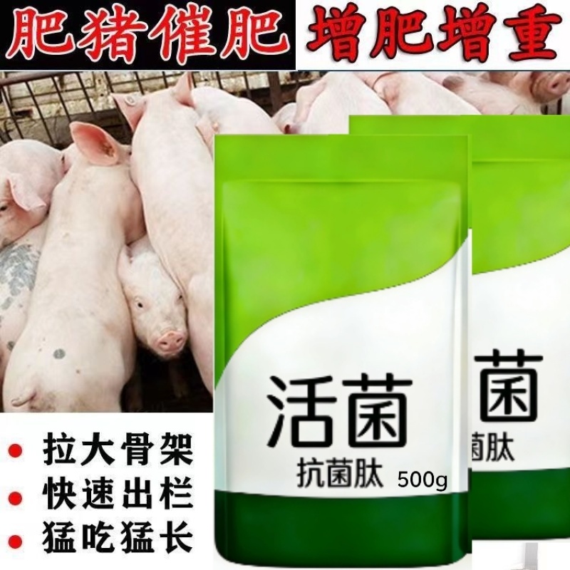 猪催肥饲料，快速长肉王拉大骨架毛色发红发亮日长三斤白金肽