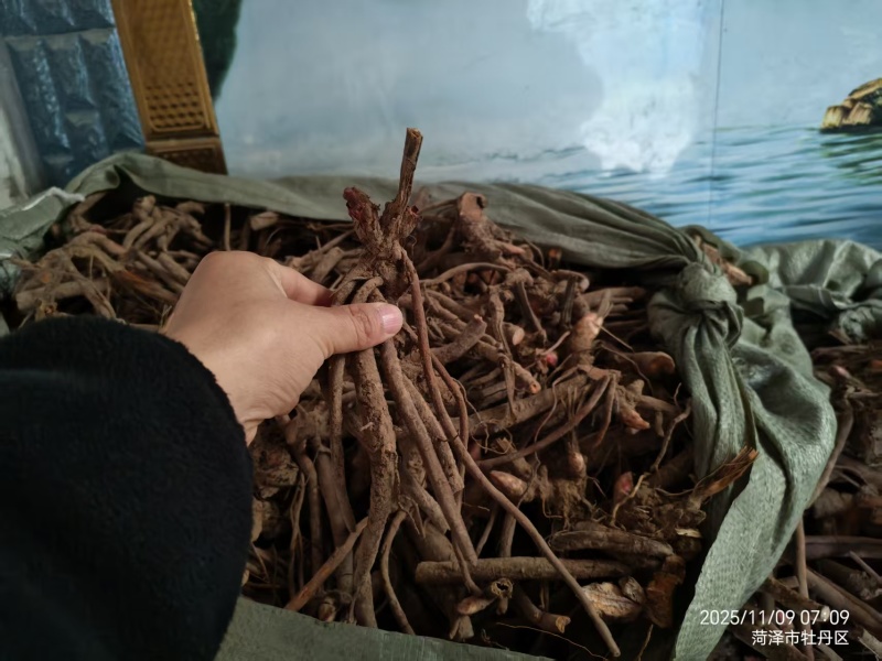 芍药种生粉，山东产地大量发货，规格齐全，质量保证
