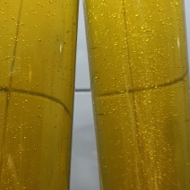 山茶油（野生）