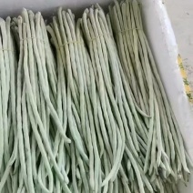 白豆角新鲜上市。欢迎各位老板采购。量大从优。