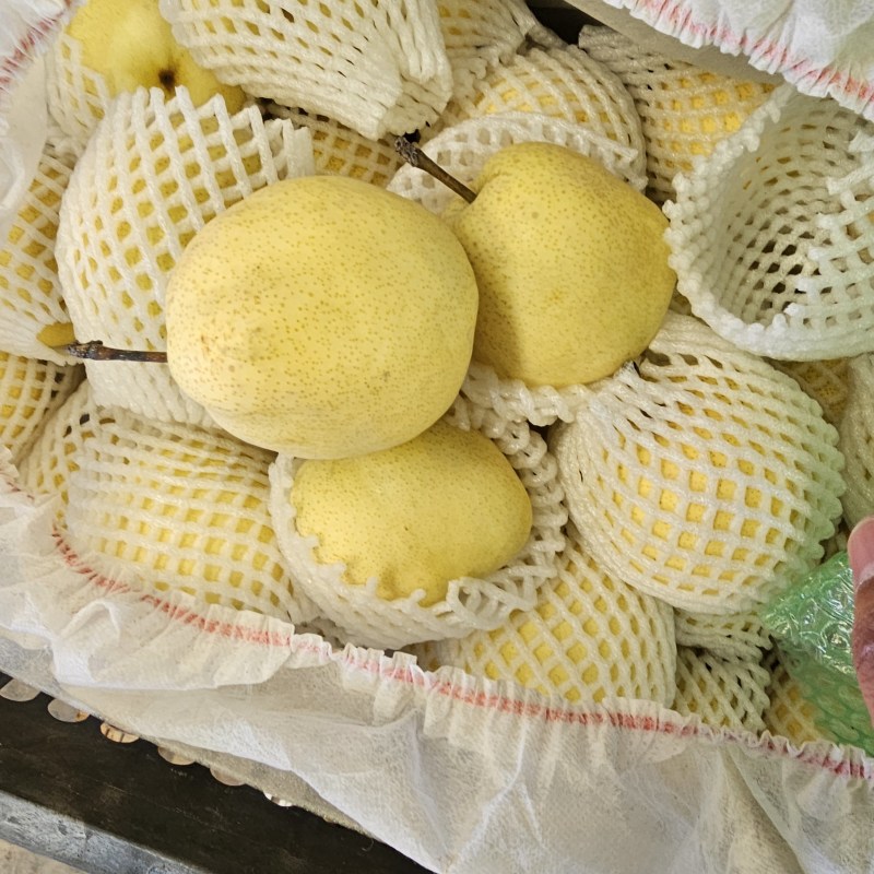 新疆贡梨，砀山梨大量供货，价格便宜