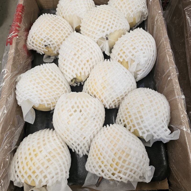新疆贡梨，砀山梨大量供货，价格便宜