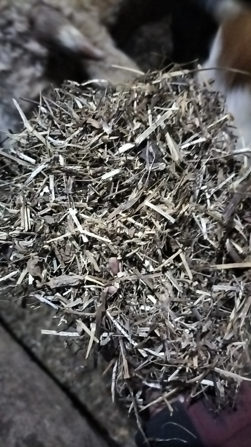正阳县源盛牧草秸秆