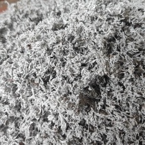 莓茶