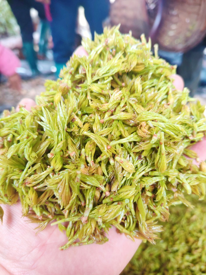 莓茶