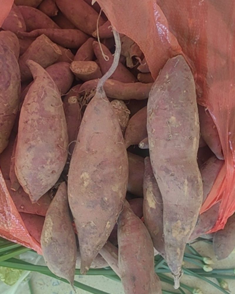 西双版纳丝滑红薯