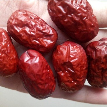 新疆红枣产地直发常年供货摆摊，电商一手货源