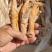 虎皮鸡爪
