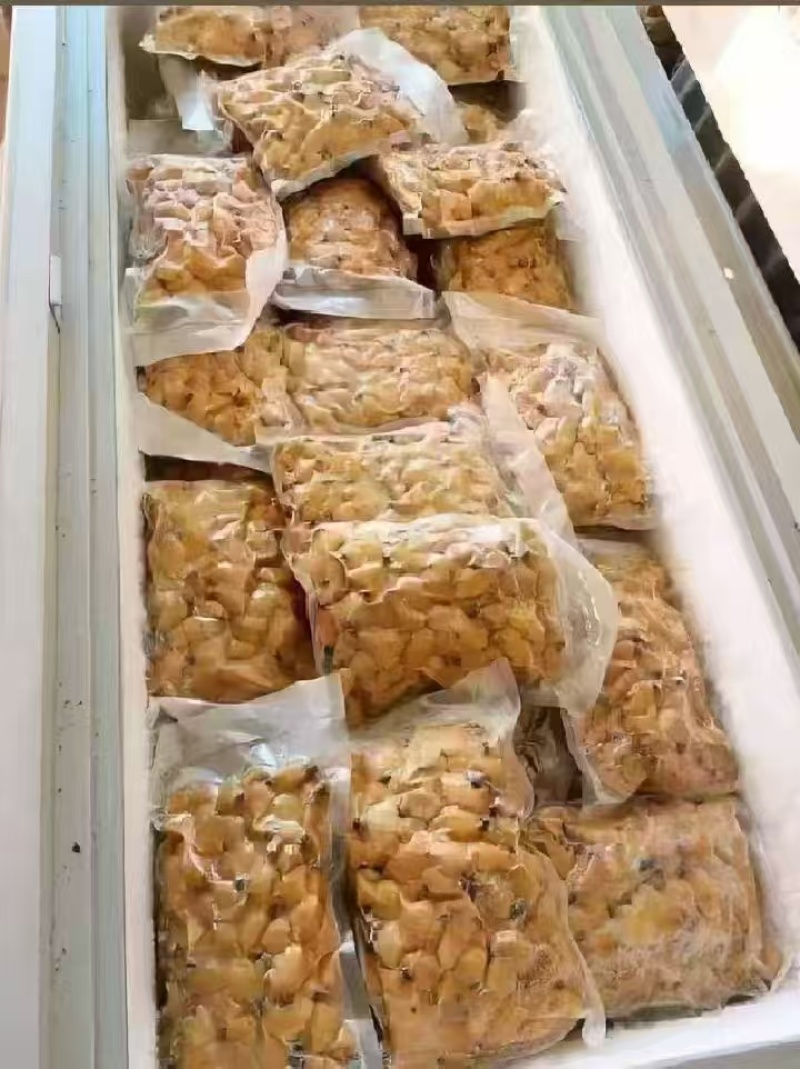 竹笋虫大量供应品质优可视频看货欢迎咨询来电
