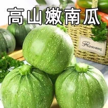 小南瓜青南瓜嫩南瓜产地一手货源基地直发