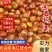 【迁西早期老树板栗】25年新货软糯香甜炒货专用产地直发