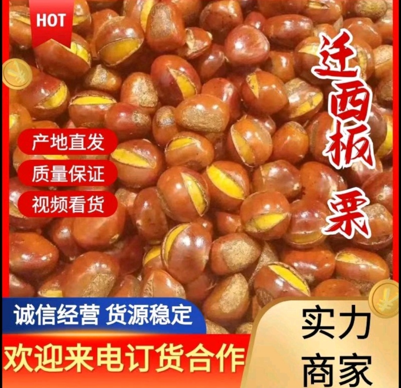 【迁西早期老树板栗】25年新货软糯香甜炒货专用产地直发