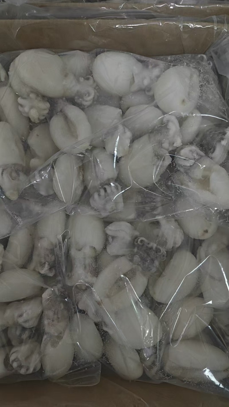 墨鱼仔