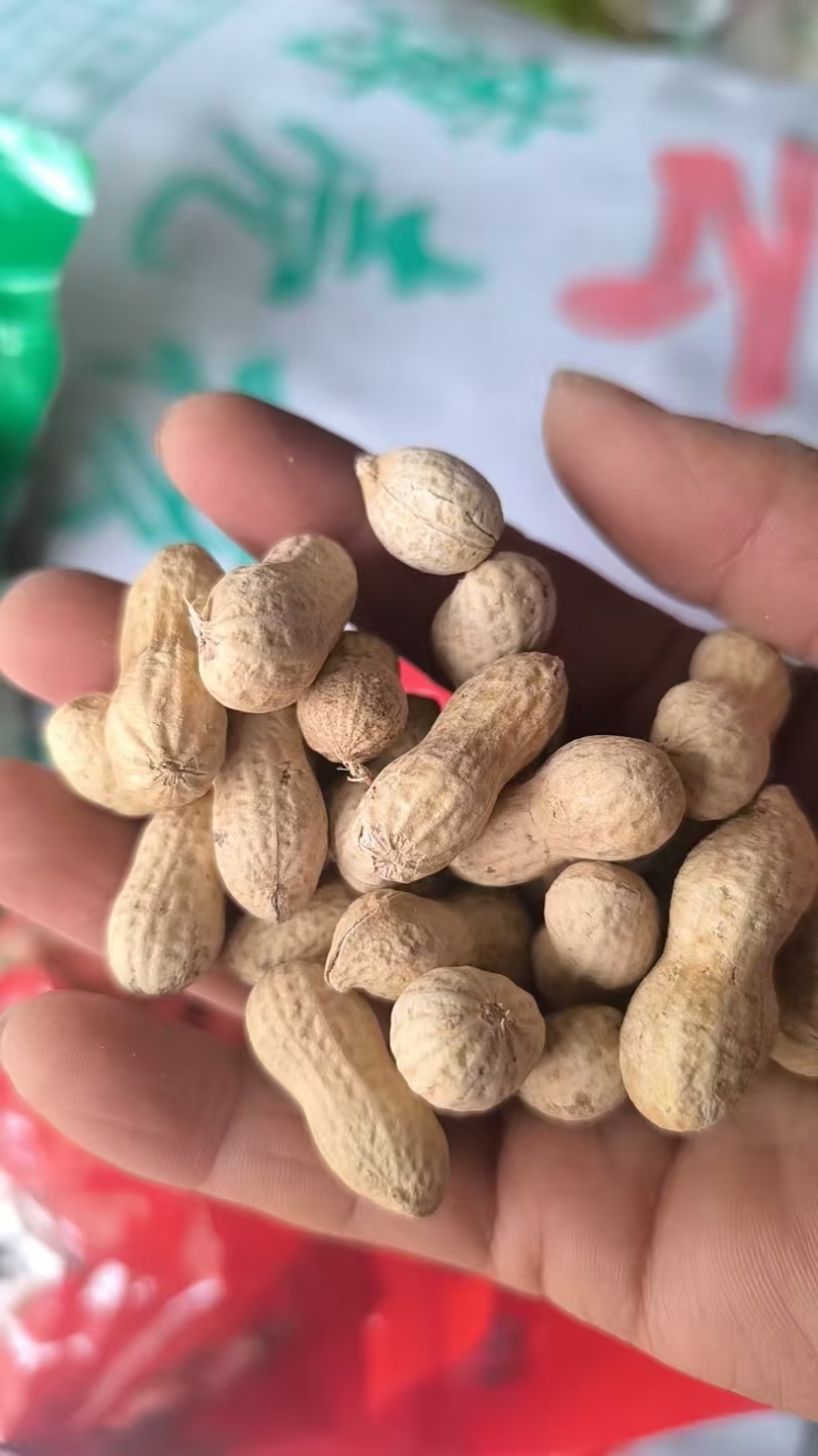重庆万州炒花生对接各大市场电商供应