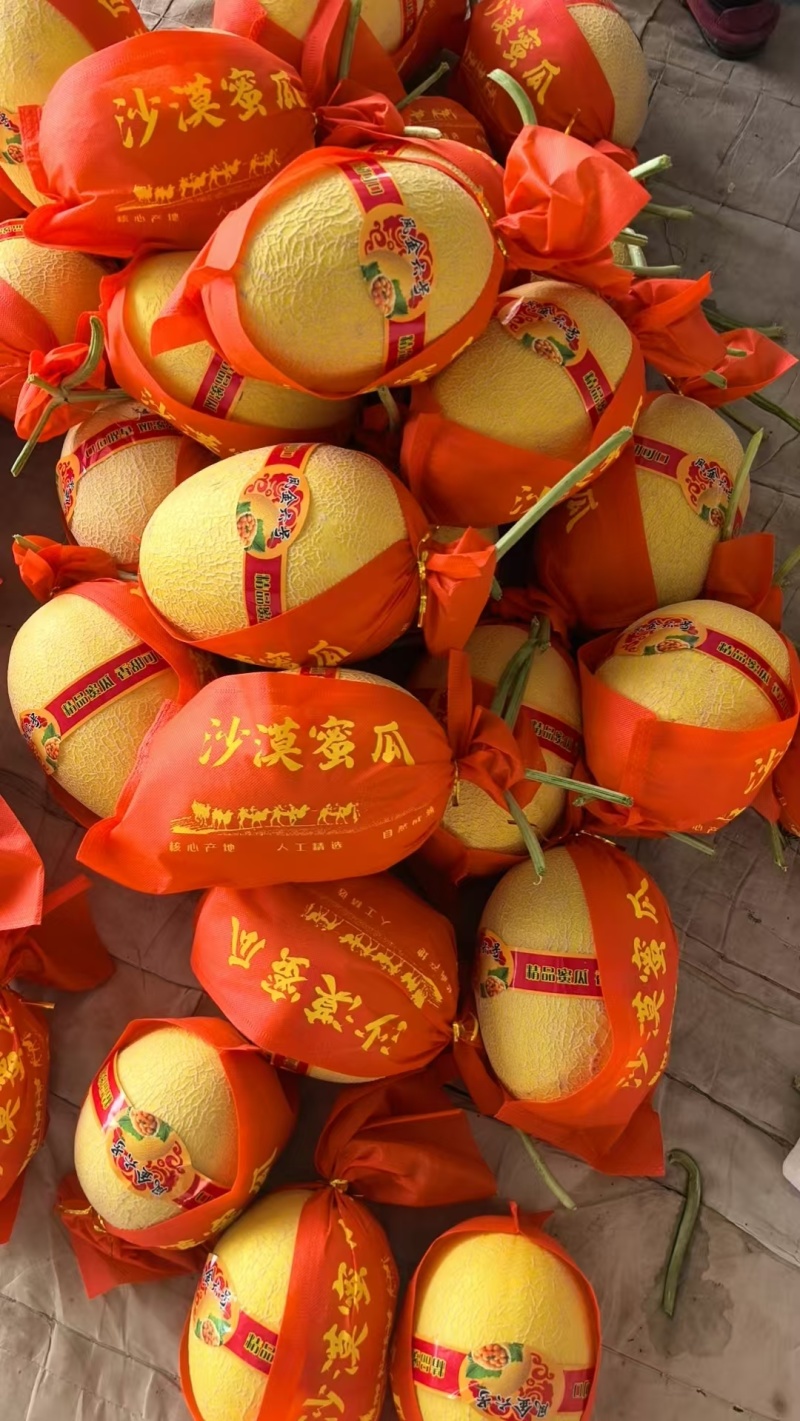 金色年华产地直供凤金6号拍拍金