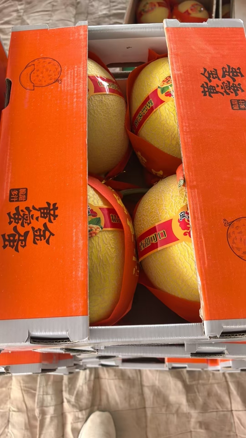 金色年华产地直供凤金6号拍拍金
