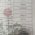 野生山茶油