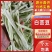 山东白不老豆角新鲜现摘农家蔬菜产地直供批发量大从优