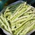 山东白不老豆角新鲜现摘农家蔬菜产地直供批发量大从优