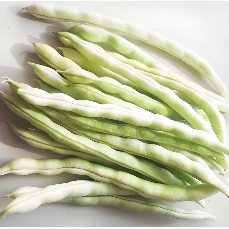 山东白不老豆角新鲜现摘农家蔬菜产地直供批发量大从优