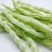 山东白不老豆角新鲜现摘农家蔬菜产地直供批发量大从优