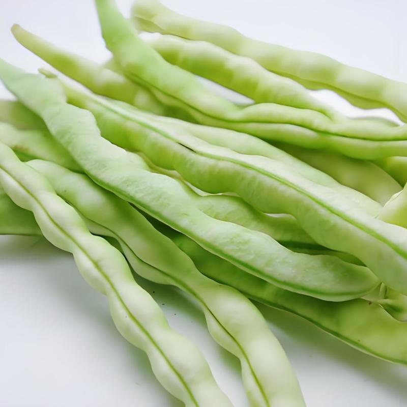 山东白不老豆角新鲜现摘农家蔬菜产地直供批发量大从优