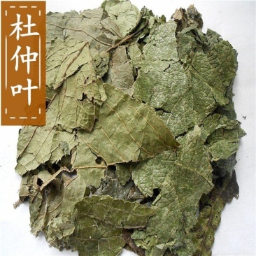 杜仲叶中药材中草药大全杜仲树叶杜仲叶冷背货批发零售