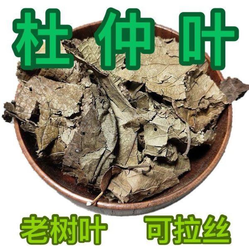 杜仲叶中药材中草药大全杜仲树叶杜仲叶冷背货批发零售