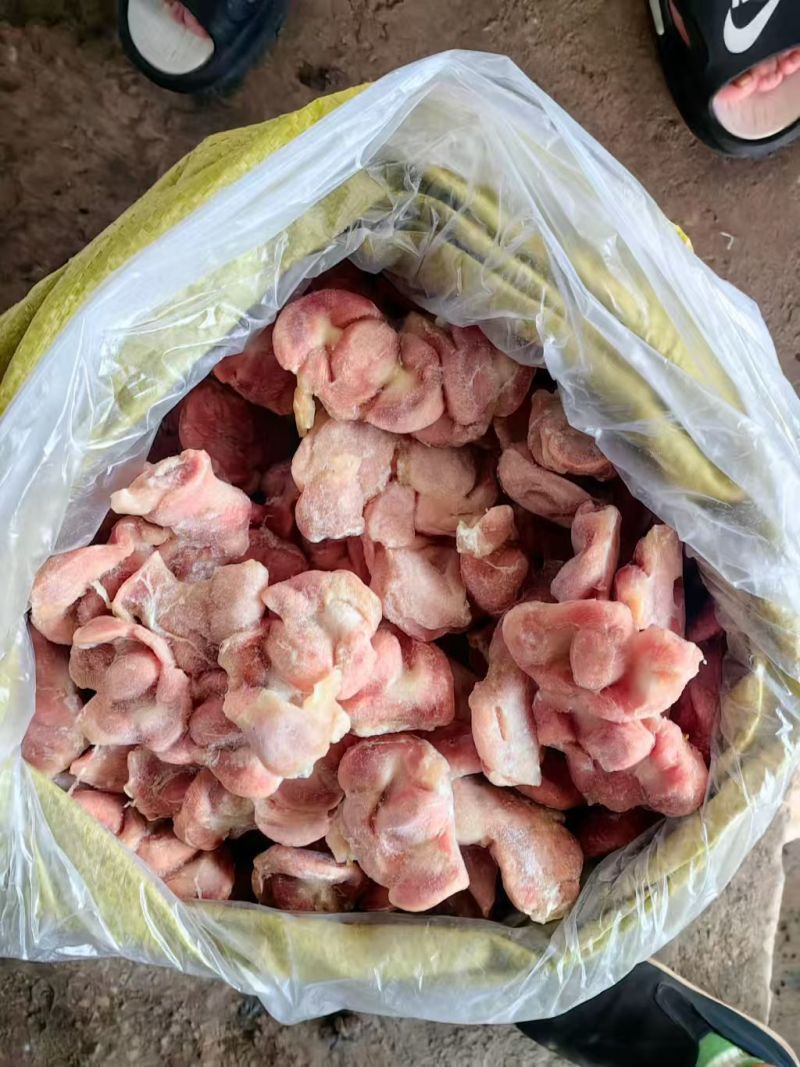 胃胗/净胗，价格详谈