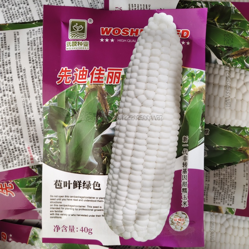 先迪佳丽玉米种子早熟大棒甜加糯玉米种子鲜食白甜糯粘玉米