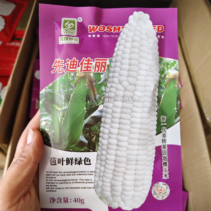先迪佳丽玉米种子早熟大棒甜加糯玉米种子鲜食白甜糯粘玉米