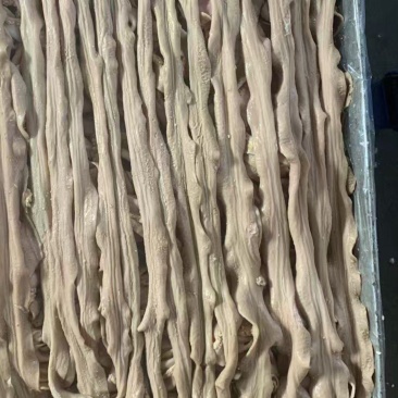 精品牛大小肠，工厂直发，量大从优