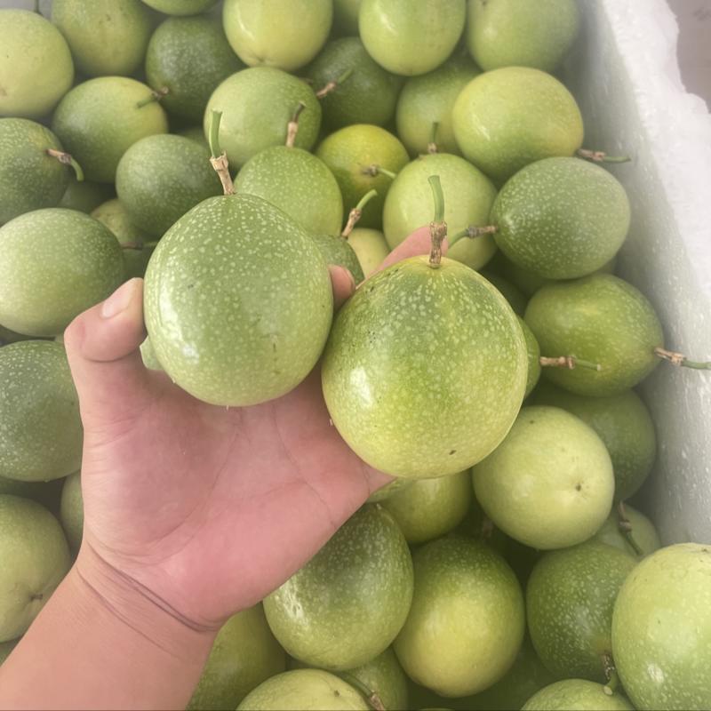 青蜜9号黄金百香果，产地一手货源，专业代购代办。