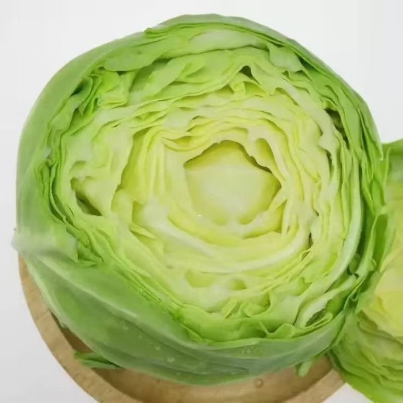 山东大棚新鲜软甘蓝宣甘蓝现砍现发产地直供批发量大价优