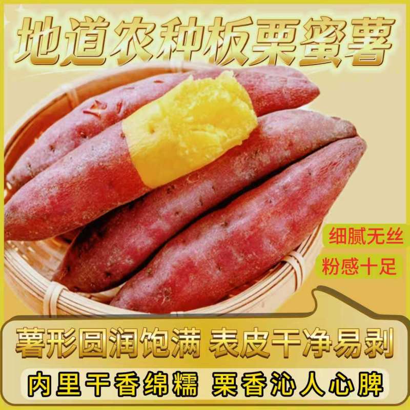 《一件代发》板栗红薯源头供应链，商超，团购批量供应
