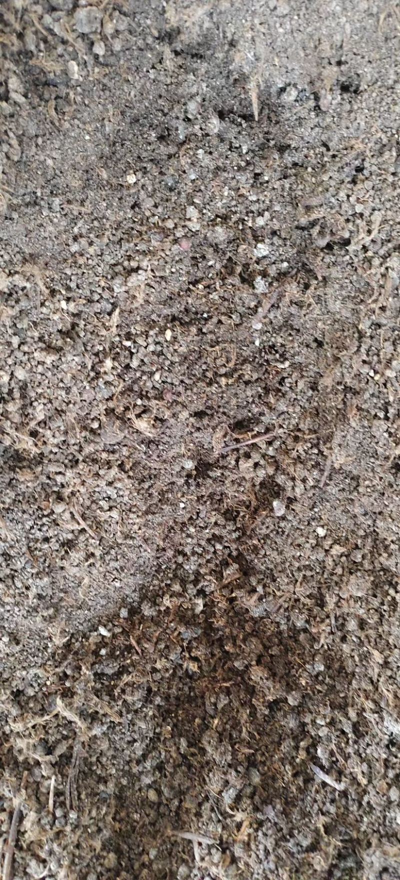 发酵鸡粪/厂家直发/货源充足/大量现货/欢迎选购